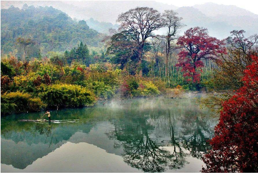 蜜蜂聚财最新动态，自然美景之旅，探寻内心宁静与平和的旅程