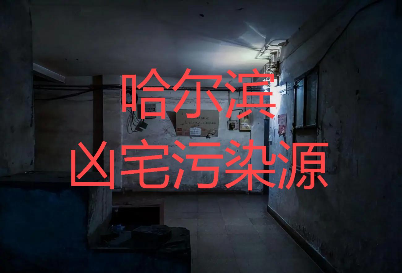 哈尔滨最新鸟洞据点探秘，鸟类栖息的新地标🐦📢