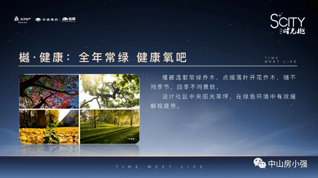 口袋兽人最新攻略，深度解析与观点阐述