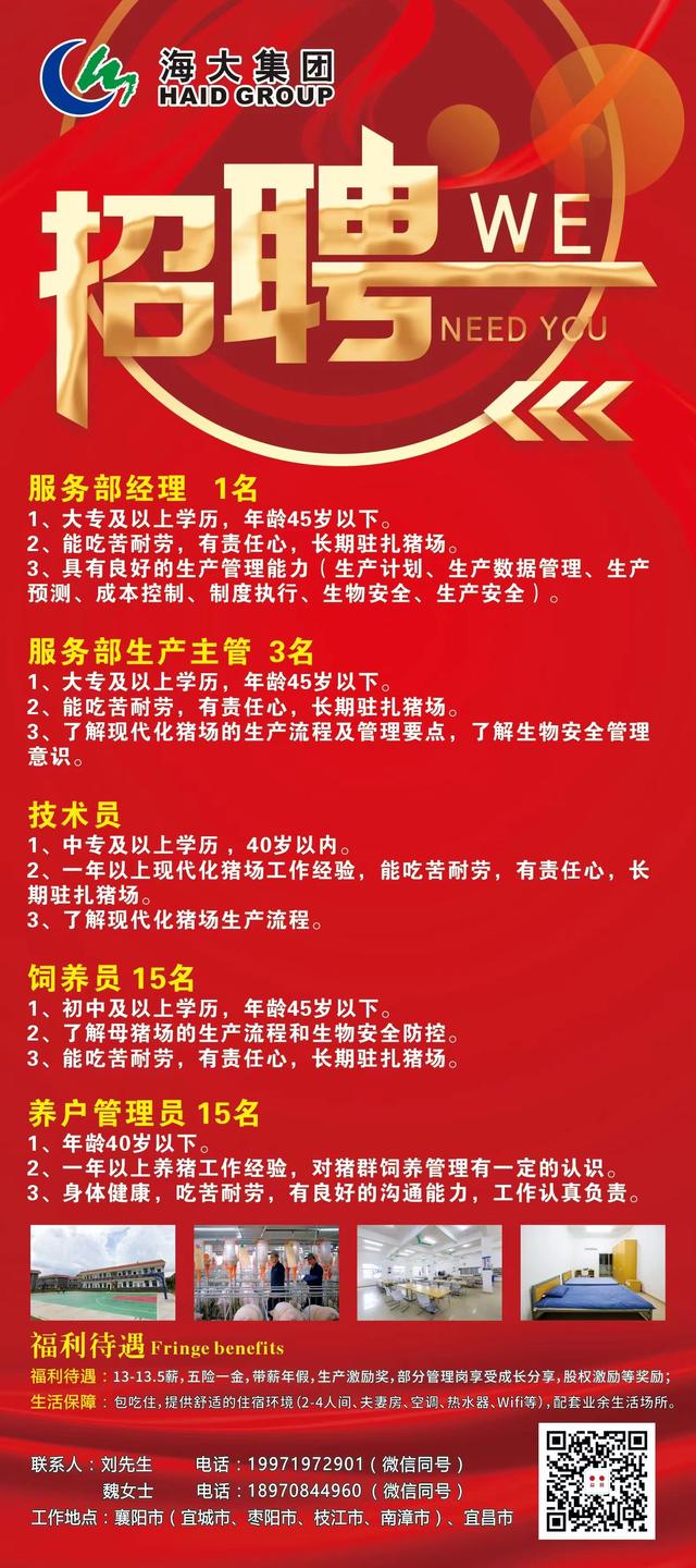 蓬安最新招聘信息，与自然共舞，启程寻找内心宁静之旅