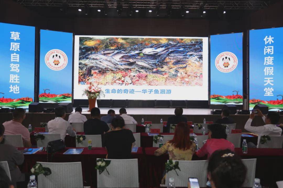 大道朝天，变化中的学习之旅，自信与成就感的源泉——最新章节汇总