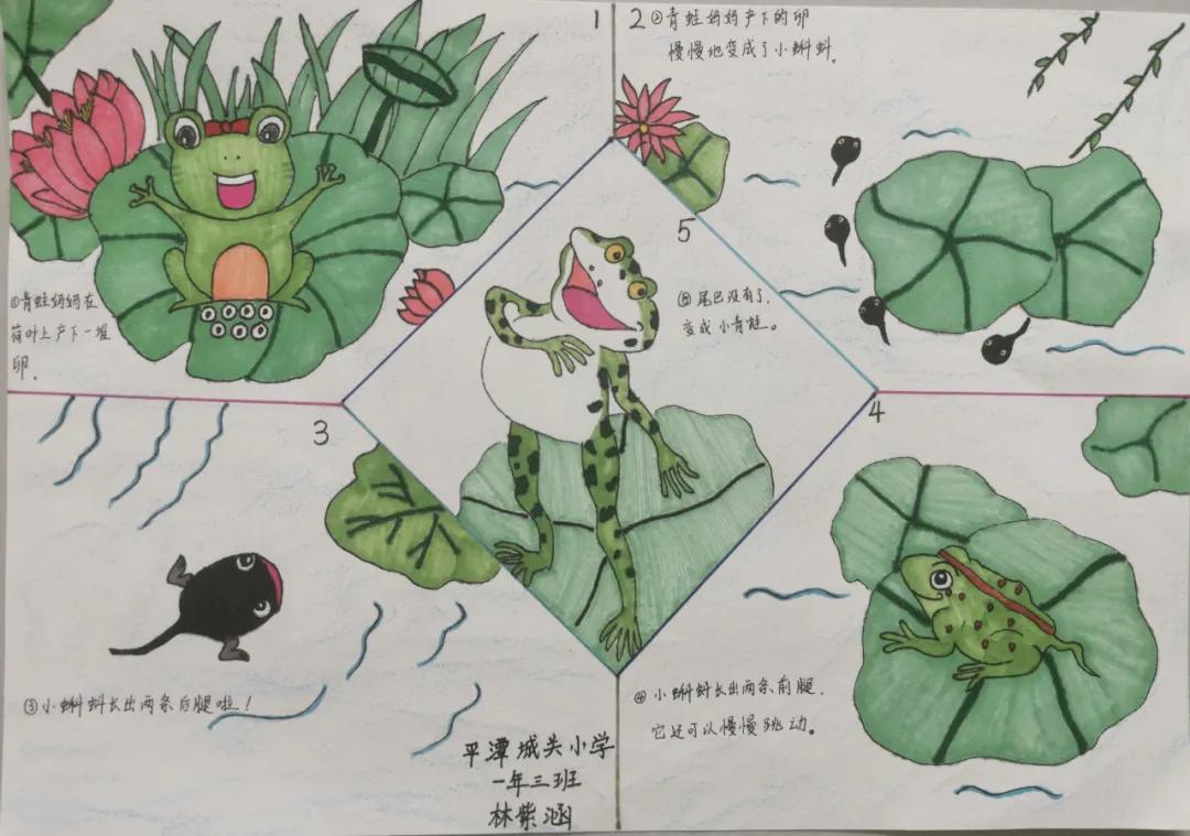 平潭最新兼职招聘信息，开启成长之旅，探索无限职业可能！