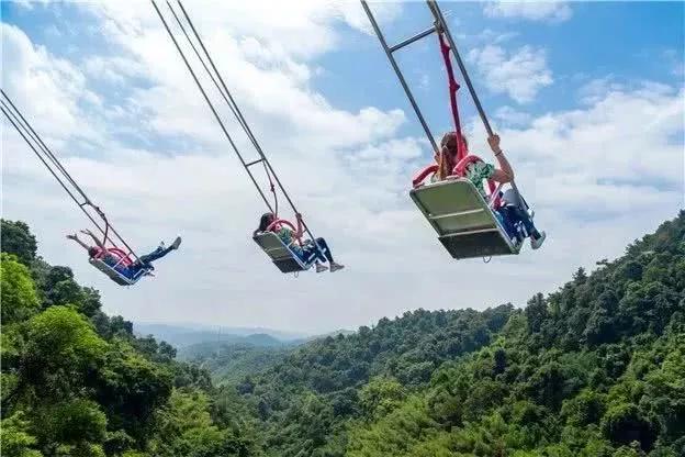 跳跳乐Bug最新揭秘，与自然美景的奇妙旅行体验